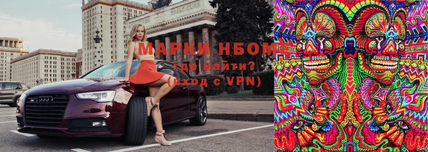 шишки Балахна
