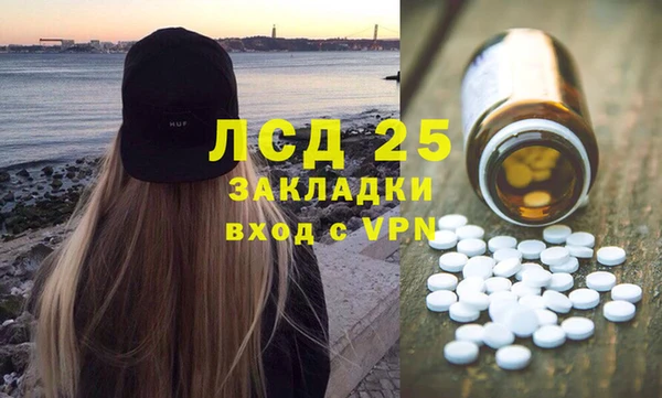 шишки Балахна