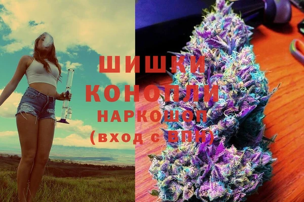 шишки Балахна