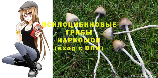 шишки Балахна