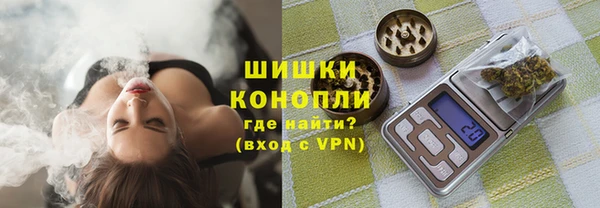 шишки Балахна