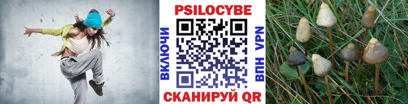 Галлюциногенные грибы Cubensis  купить наркотики сайты  OMG ссылки  Гатчина 